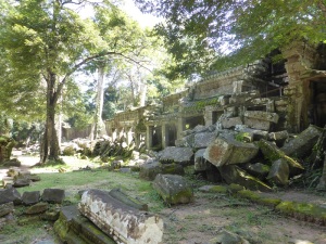 103. Angkor Thom. Ta Prohm