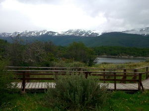 1080. Parque Nacional de Tierra de Fuego
