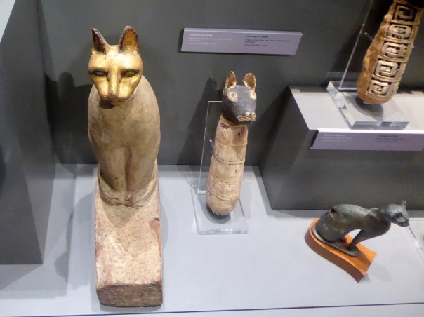 143. Museo Egipcio. Momias de animales