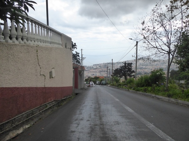 160. Funchal. Carros de cesto